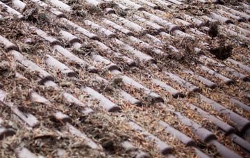 Carreg Y Gath roof cleaning companies