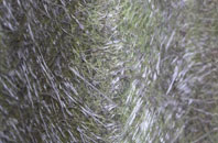 Carreg Y Gath fibreglass roof work